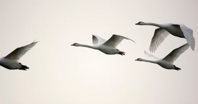 L’Errore Più Grosso Che Commettono i Viaggiatori Quando Prenotano Un Volo