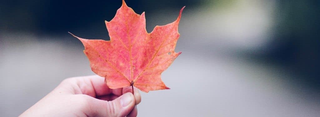 Le 7 migliori destinazioni d’autunno da non perdere