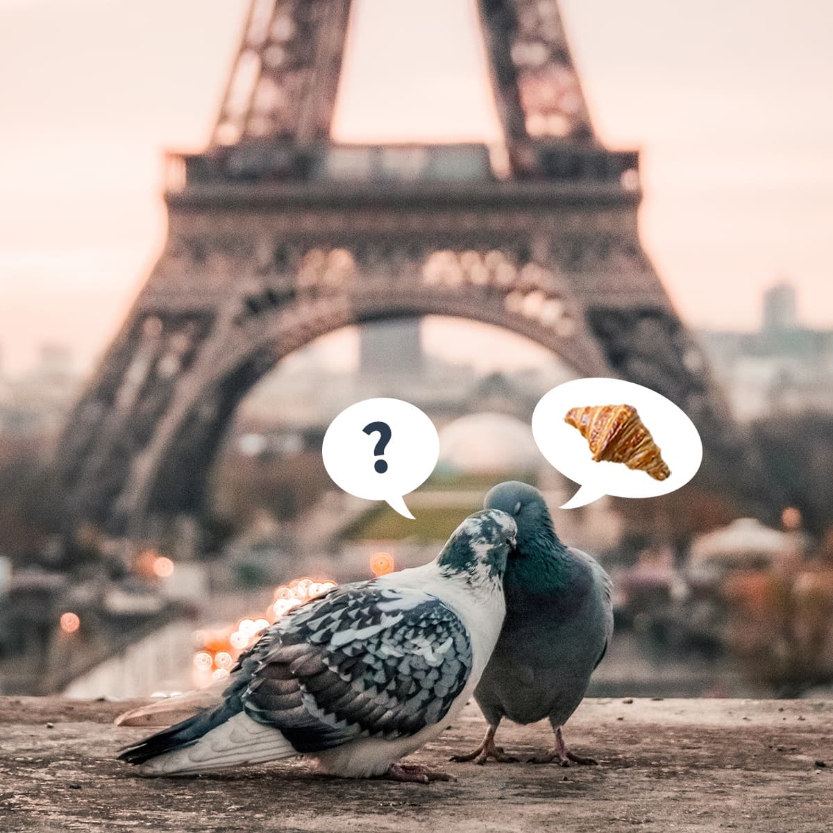 7 Modi per Viaggiare in Coppia Senza Uccidersi a Vicenda